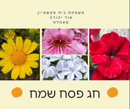 בית ספר בית אקשטיין אור יהודה