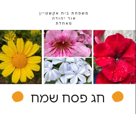 בית ספר בית אקשטיין אור יהודה