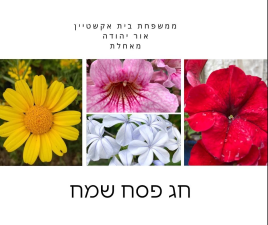 בית ספר בית אקשטיין אור יהודה