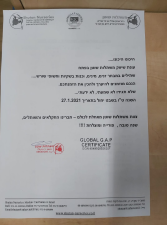 משתלות שוטן