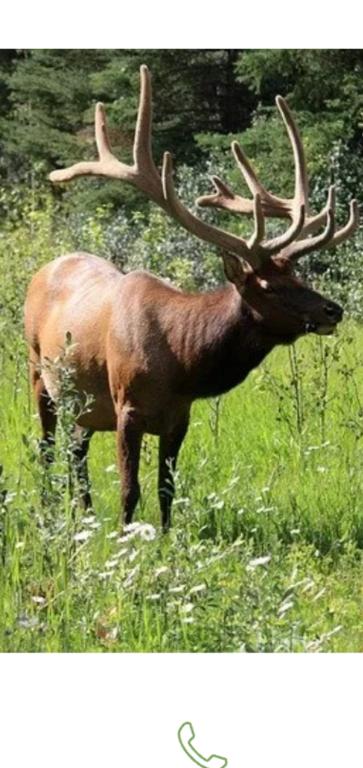 ד"ר נילי יוסף סלע רפואה אלטרנטיבית ד"ר נילי יוסף סלע רפואה אלטרנטיבית