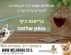 מלונה בהר