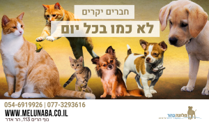 מלונה בהר