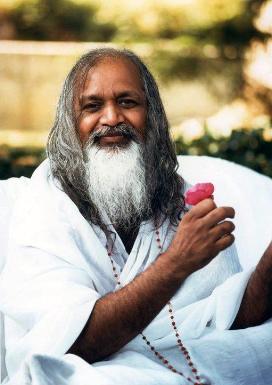 מדיטציה טרנסנדנטלית מדיטציה טרנסנדנטלית