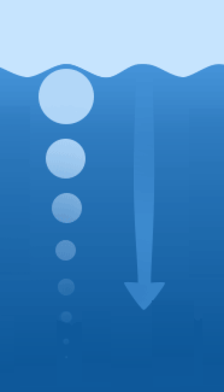 מדיטציה טרנסנדנטלית מדיטציה טרנסנדנטלית