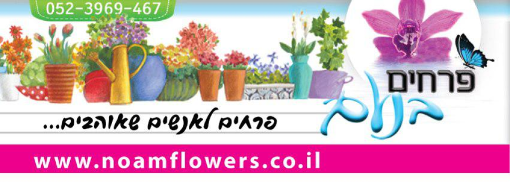 פרחים בנעם פרחים בנעם