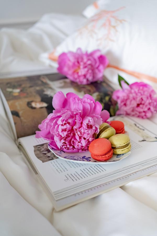 White Spring White Spring