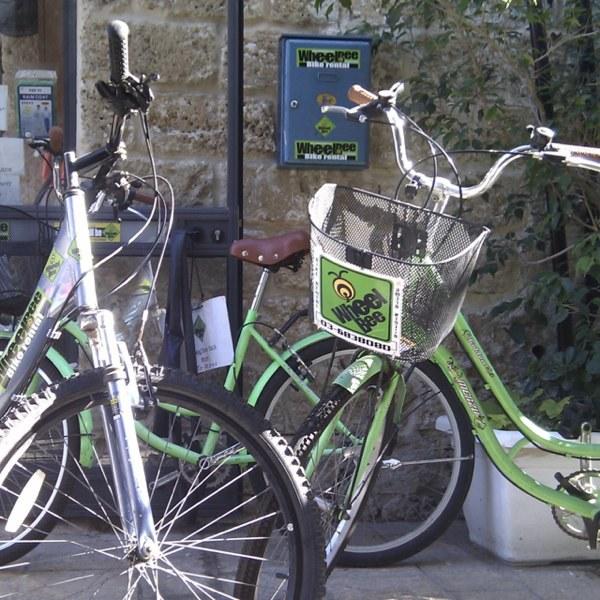 ווילבי השכרת אופניים wheel bee ווילבי השכרת אופניים wheel bee