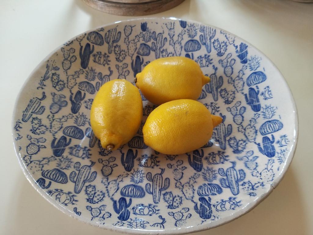 עדנה קדם קרמיקה ופסיפס עדנה קדם קרמיקה ופסיפס