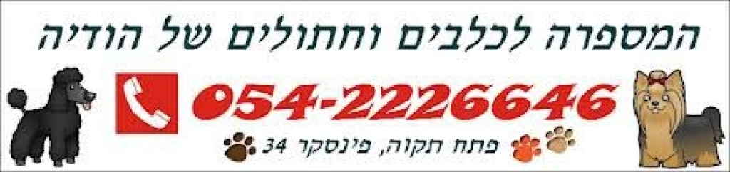 המספרה לכלבים וחתולים של הודיה המספרה לכלבים וחתולים של הודיה