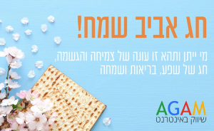 Agam שיווק באינטרנט