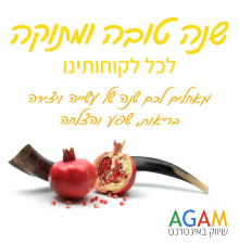 Agam שיווק באינטרנט