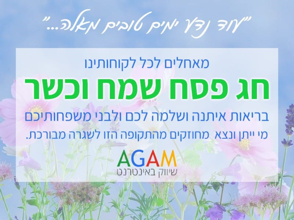Agam שיווק באינטרנט Agam שיווק באינטרנט
