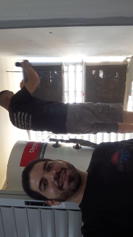 האלמוג האלמוג