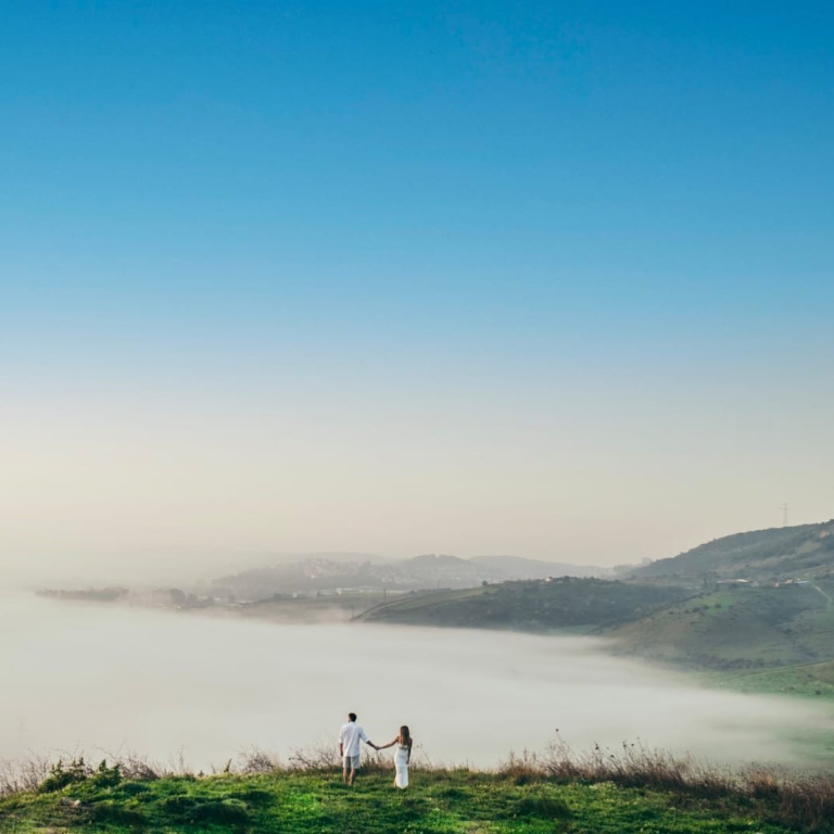 שיצו שירותי צילום שיצו שירותי צילום