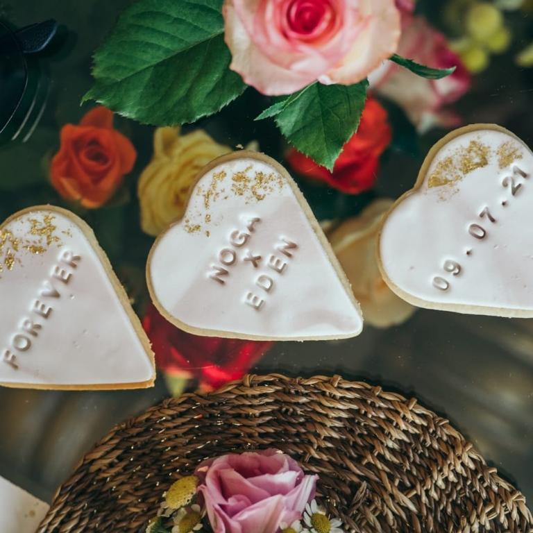 שיצו שירותי צילום שיצו שירותי צילום