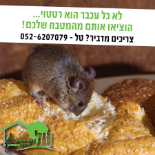 טל שרותי הדברת מזיקים