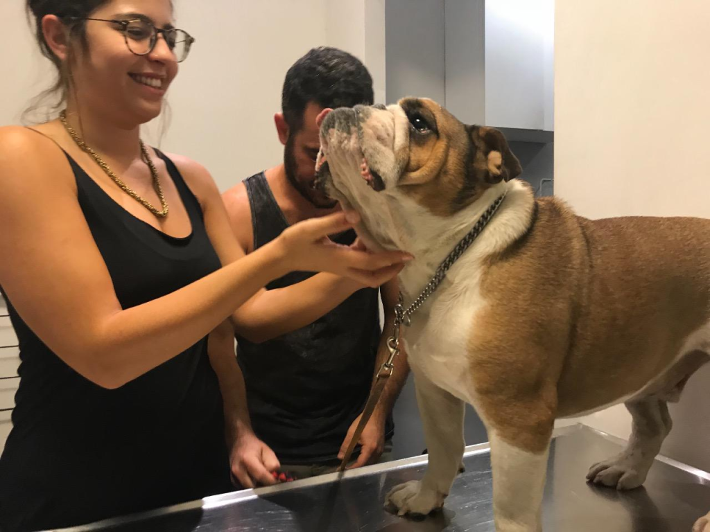 וטרינר במרכז וטרינר במרכז