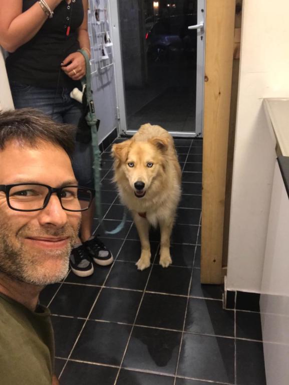 וטרינר במרכז וטרינר במרכז