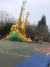 קורל מתנפחים