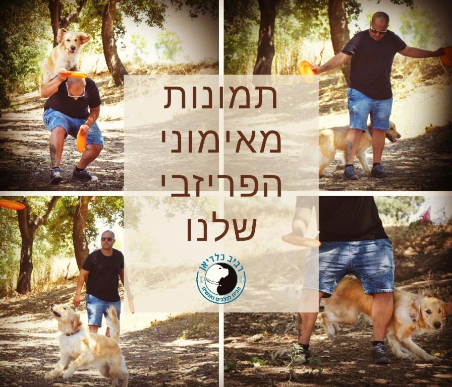 רביב כלדיאן הבית לכלבים ואנשים רביב כלדיאן הבית לכלבים ואנשים