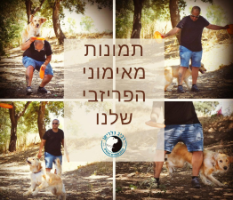 רביב כלדיאן הבית לכלבים ואנשים