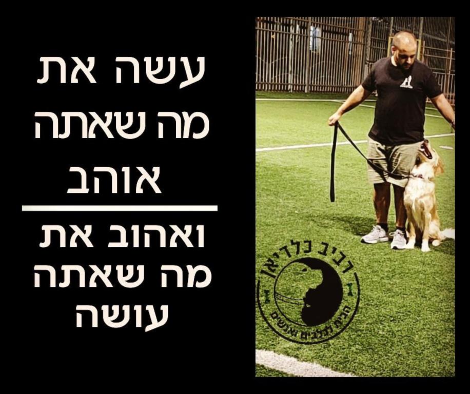 רביב כלדיאן הבית לכלבים ואנשים רביב כלדיאן הבית לכלבים ואנשים