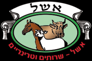 אשל שירותים וטרינרים