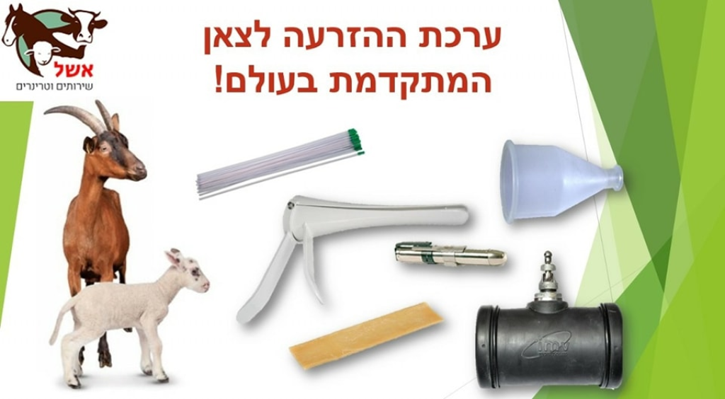אשל שירותים וטרינרים אשל שירותים וטרינרים