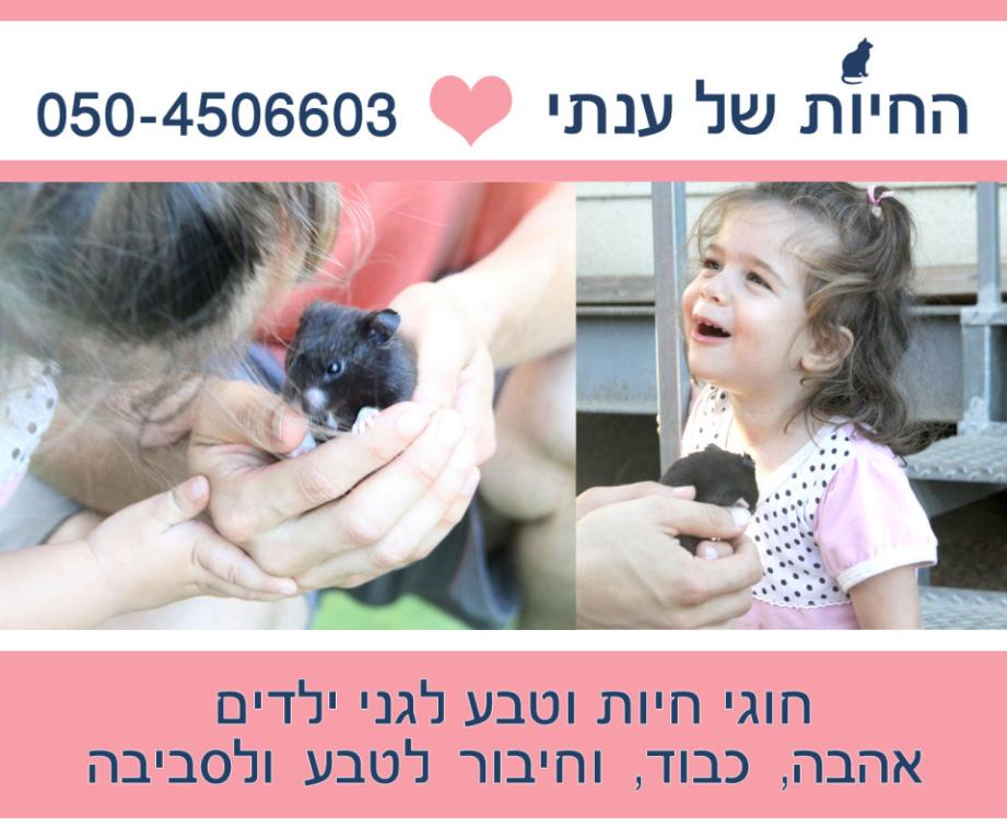 ענתי הנחיית הורים ואנשי חינוך ענתי הנחיית הורים ואנשי חינוך