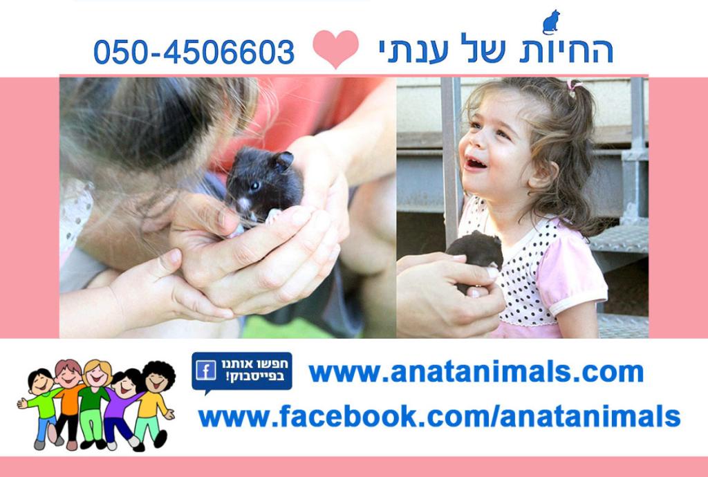 ענתי הנחיית הורים ואנשי חינוך ענתי הנחיית הורים ואנשי חינוך