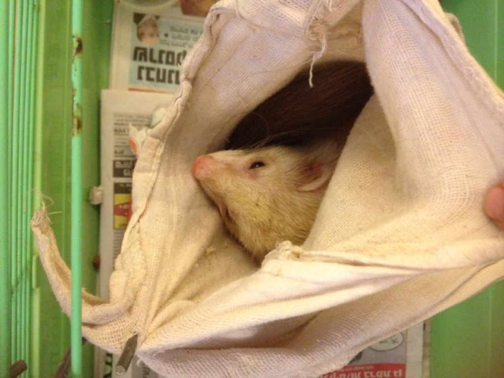 ענתי הנחיית הורים ואנשי חינוך ענתי הנחיית הורים ואנשי חינוך