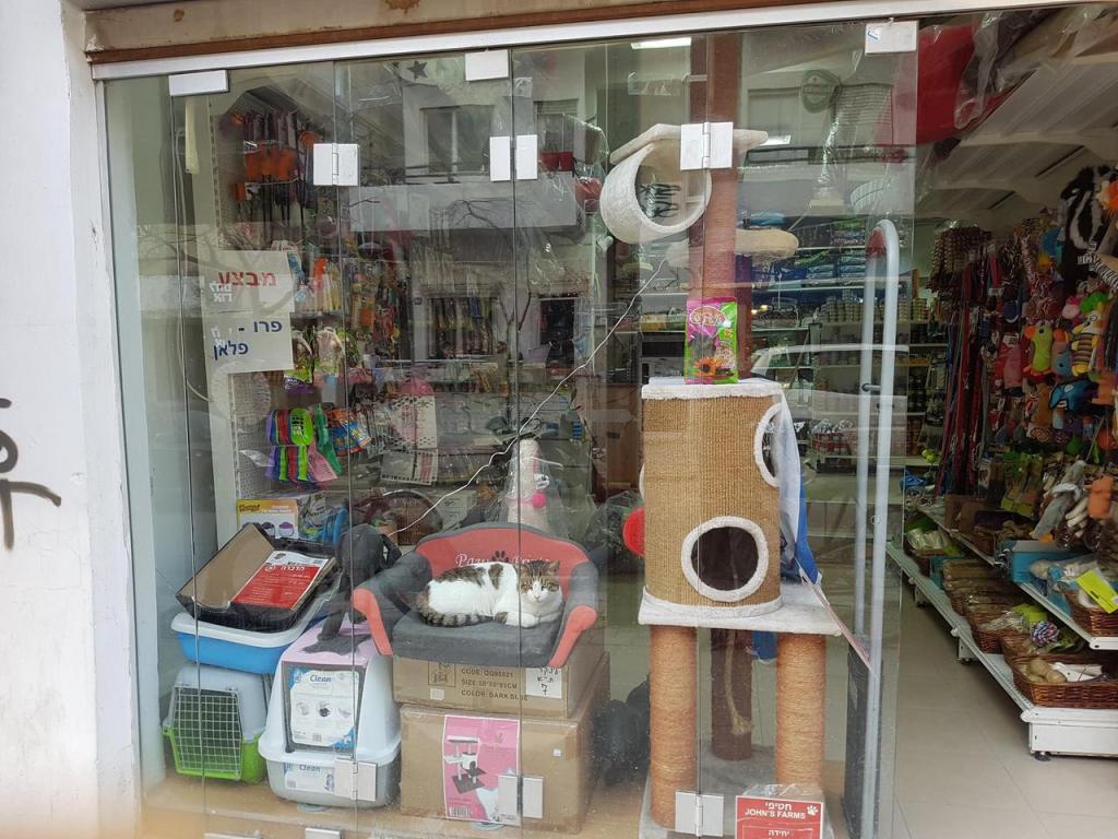 לינקר לינקר