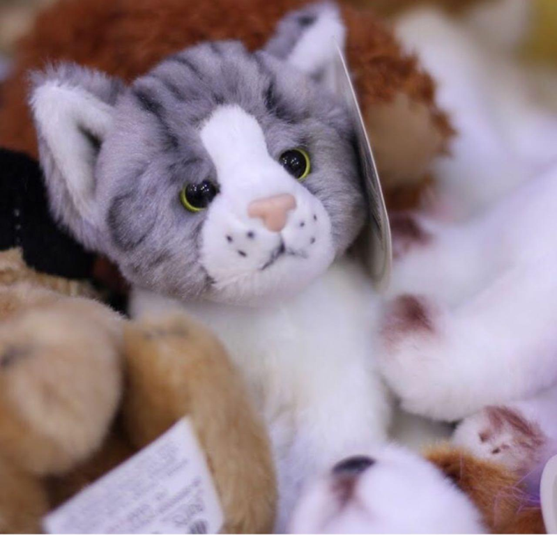 neverland נוורלנד צעצועים neverland נוורלנד צעצועים