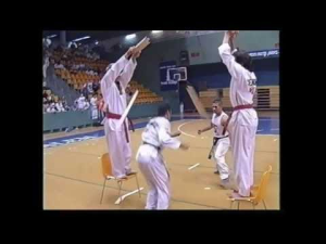אומנויות לחימה וטאקוונדו מעלה אדומים