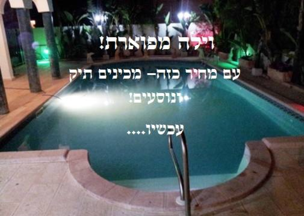 בין הזמנים בין הזמנים