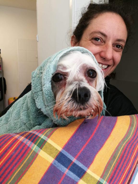 ספרית כלבים קרן באומגרט ספרית כלבים קרן באומגרט