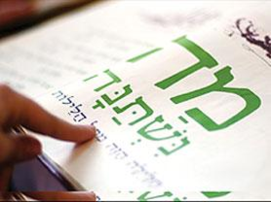 מאיר פרוז'ן רואה חשבון מאיר פרוז'ן רואה חשבון