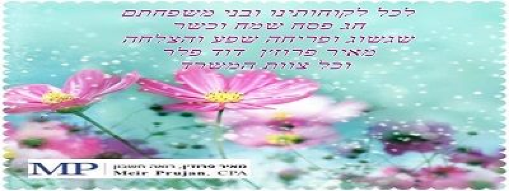 מאיר פרוז'ן רואה חשבון מאיר פרוז'ן רואה חשבון