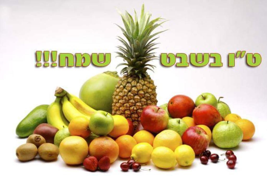 קוסמטיקה וטיפולי יופי קוסמטיקה וטיפולי יופי