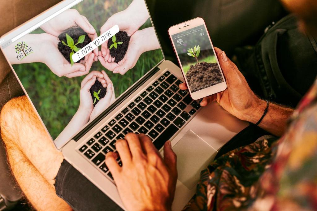 דדון מדיה דדון מדיה