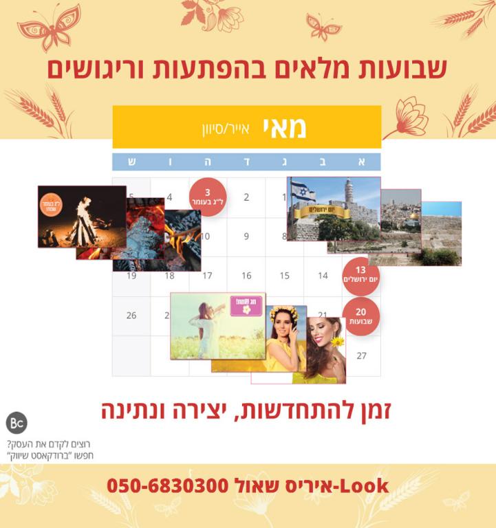 איריס שאול איריס שאול
