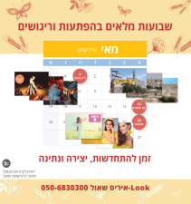 איריס שאול