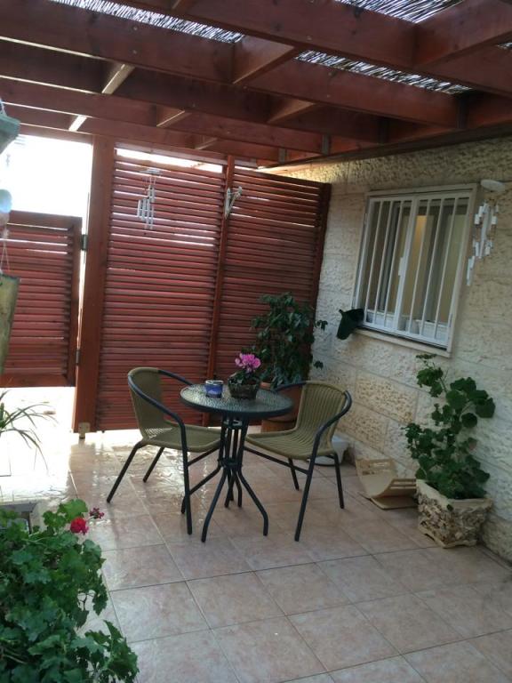 איריס שאול איריס שאול