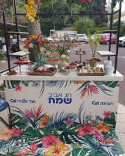 מיכאל עזרא