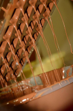 אומנות השוקולד סדנאות שוקולד בבאר שבע