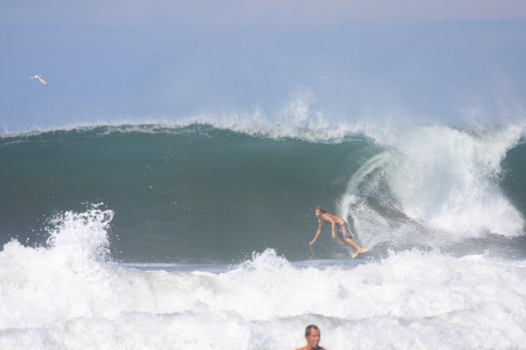 חנות גלישה DING KING חנות גלישה DING KING