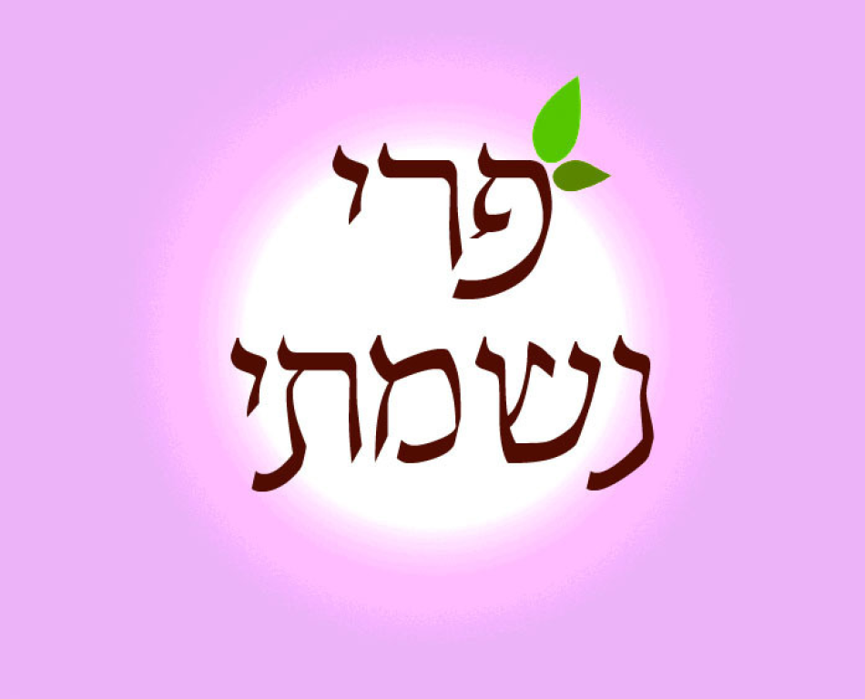 פרי נשמתי ליווי רגשי לאחר פרידה פרי נשמתי ליווי רגשי לאחר פרידה