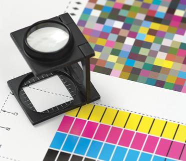 פנדה הדפסות משי פנדה הדפסות משי