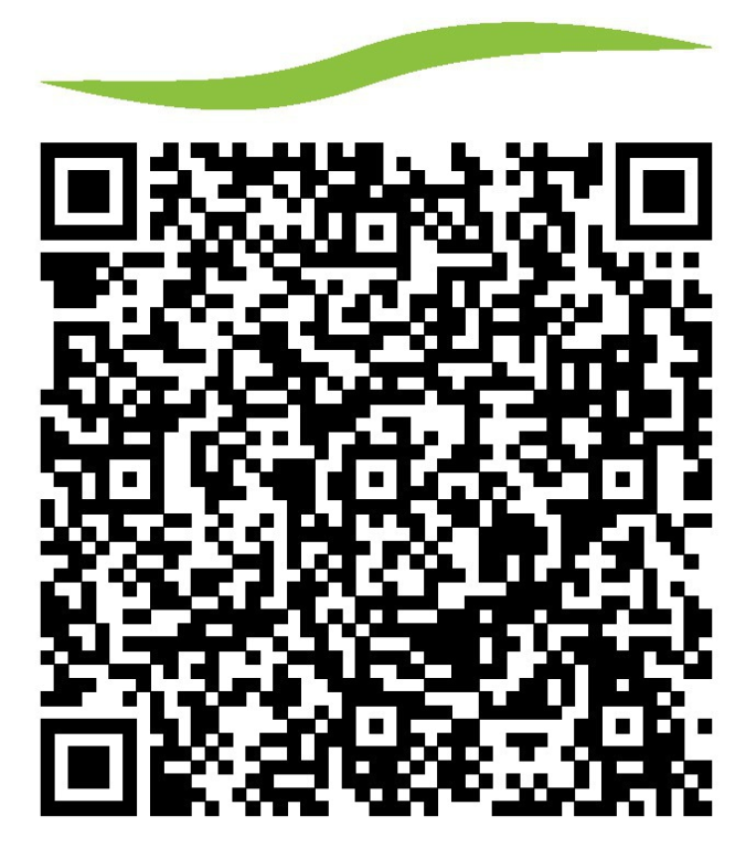 סטודיו 'שמן זית' סטודיו 'שמן זית'